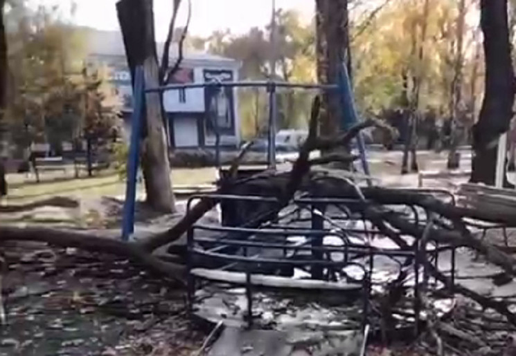 На Дніпропетровщині гілка впала на дитин…