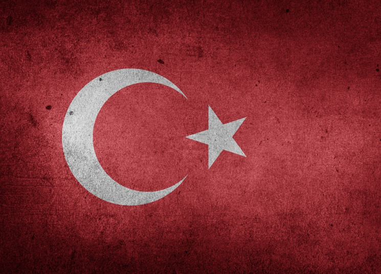 Президент Туреччини вислав із країни дес…