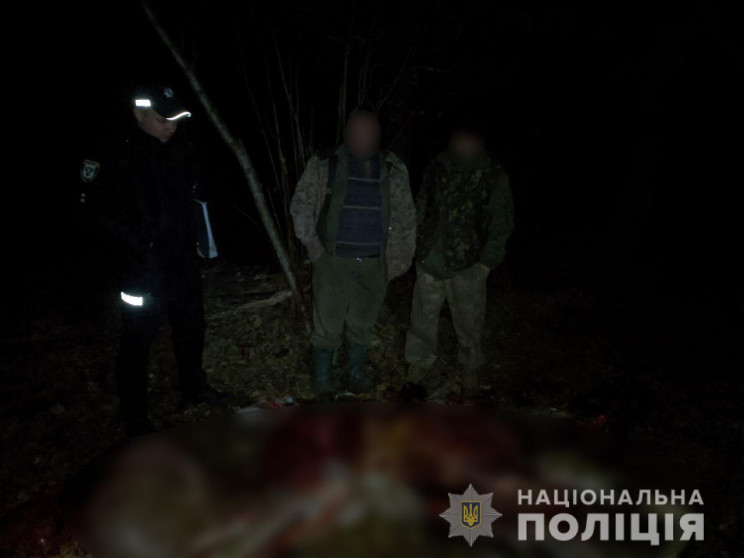На Чернігівщині вбили лося, один з мисли…