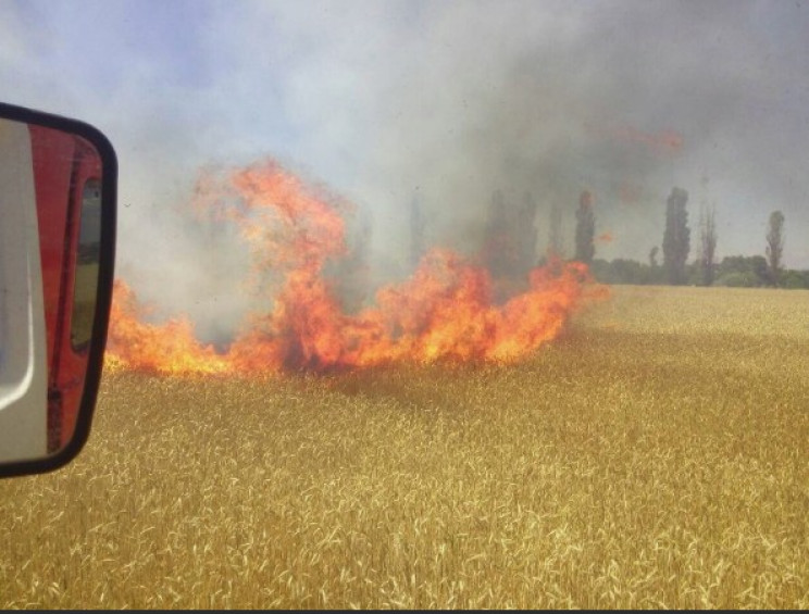На Харківщині горять поля: Знищені гекта…