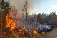 У Криму оголошена висока пожежна небезпе…