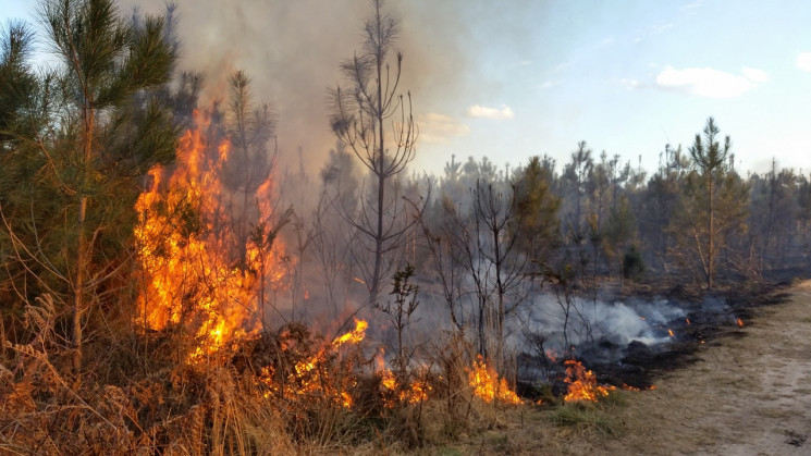 В Крыму объявлена высокая пожарная опасн…