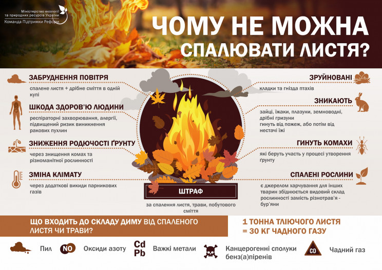 За спалювання листя, чи трави — штраф ві…