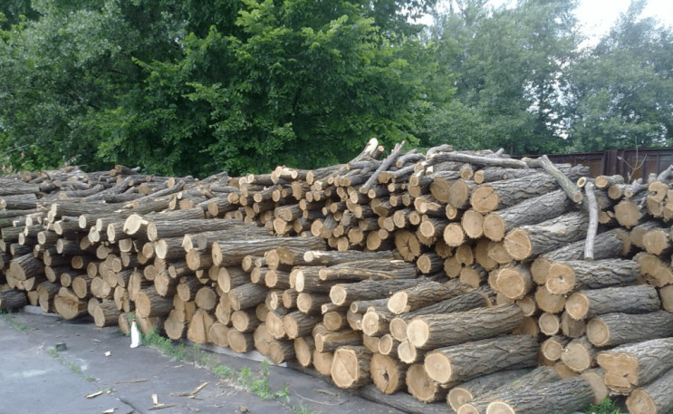 Хотели запастись дровами через интернет:…