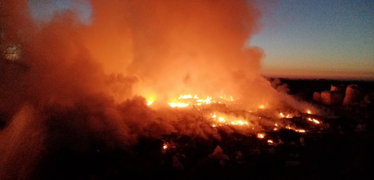 На Берегівщині вигоріло пів гектара сухо…