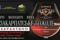 Фестиваль вина "Закарпатське Божоле" пер…