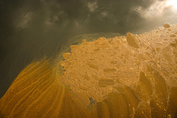 Забруднення річки Тетерів у Житомирі: Во…