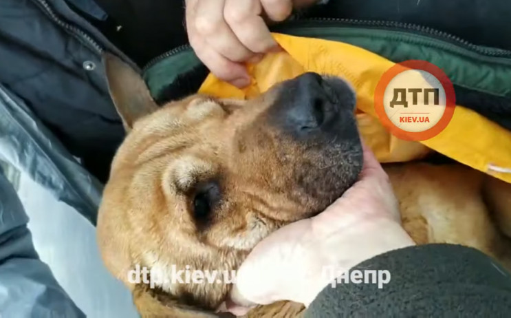 У Києві з Північного моста у Дніпро кину…