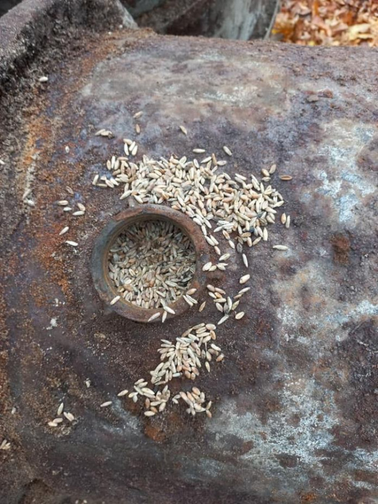 Во Львовской области нашли бочки с зерно…