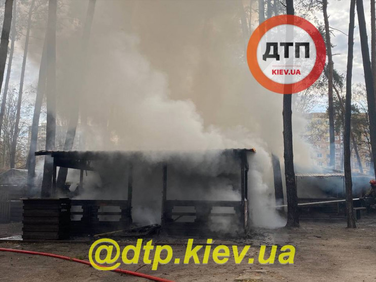 Вибухи газу та тварини у вогні: У Києві…