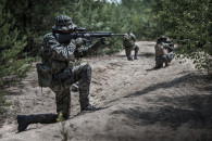 Міграційна криза: Литва створила військо…
