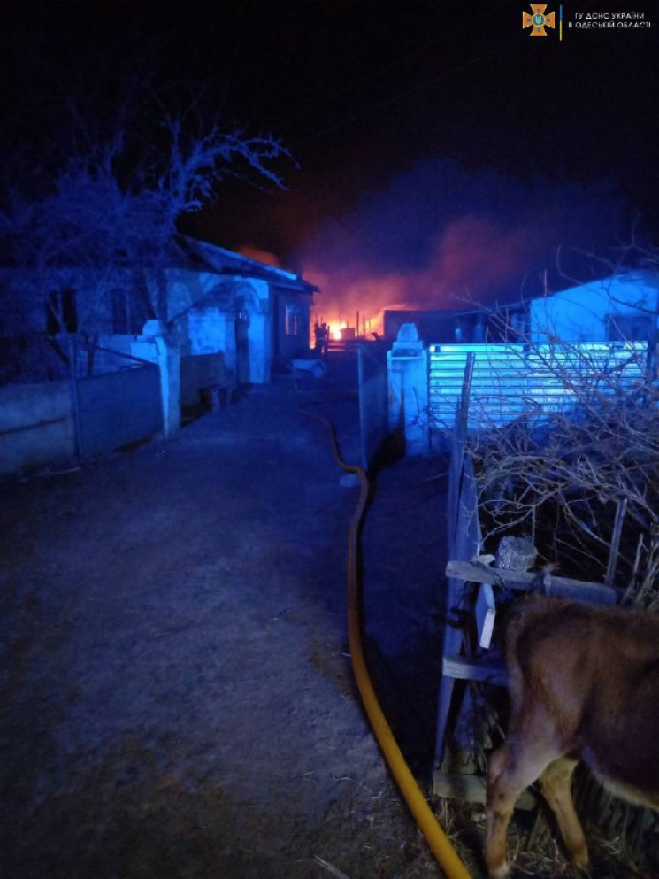 В пожаре в Одесской области заживо сгоре…