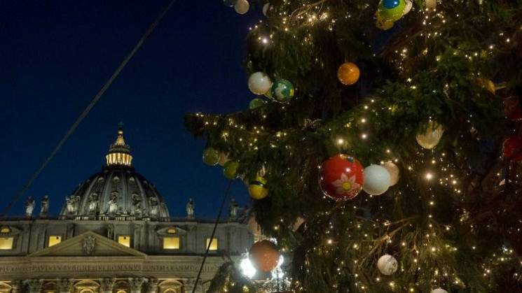 В Ватикан завезли елку весом 8 тонн…