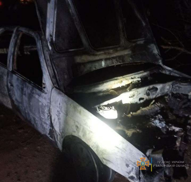 В Запорожской области сгорели гараж и дв…