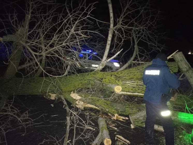 На Харківщині зламані буревієм дерева за…