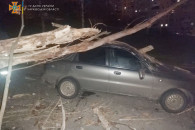 Ураган в Харькове сломал 35 деревьев, –…