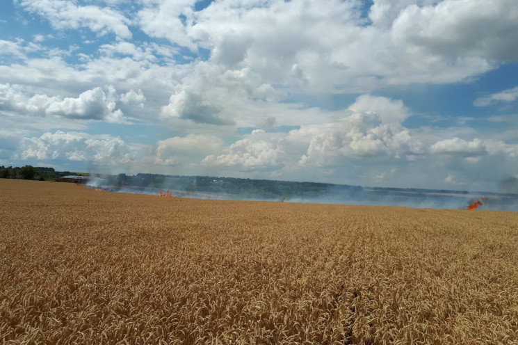 На Харківщині горіло поле пшениці…