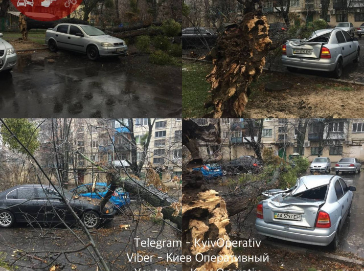 У Києві на бульварі Перова дерево розчав…