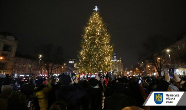 Головну ялинку Львову подарував чоловік…