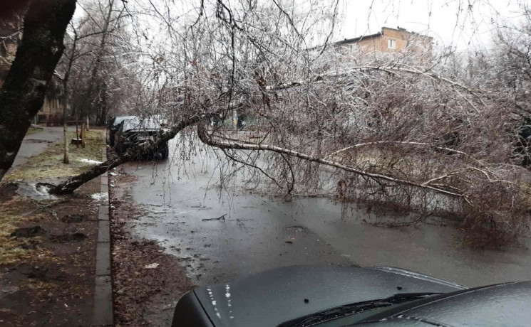 В Киеве от ледяного дождя пострадало рек…