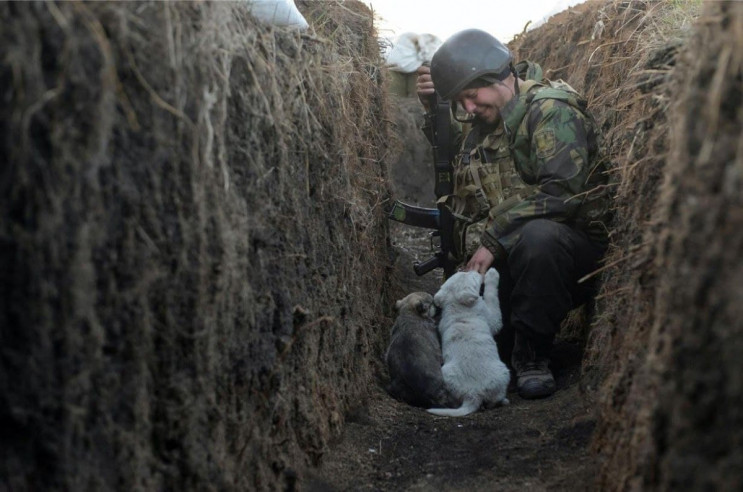 "Військовим тварини нагадують про дім":…