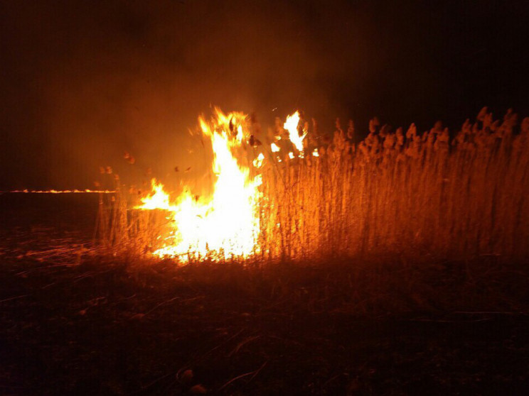 60 пожеж за добу: На Дніпропетровщині сп…