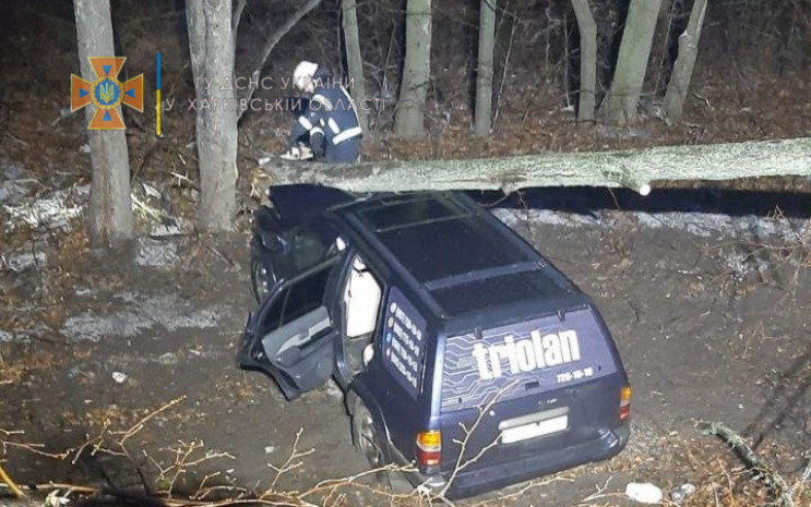 На Харківщині дерево впало на авто Triol…
