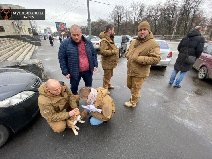 В Киеве муниципальный караул перекрыл пр…