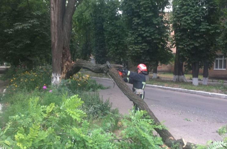 На Шатило в Кропивницком на дорогу упала…