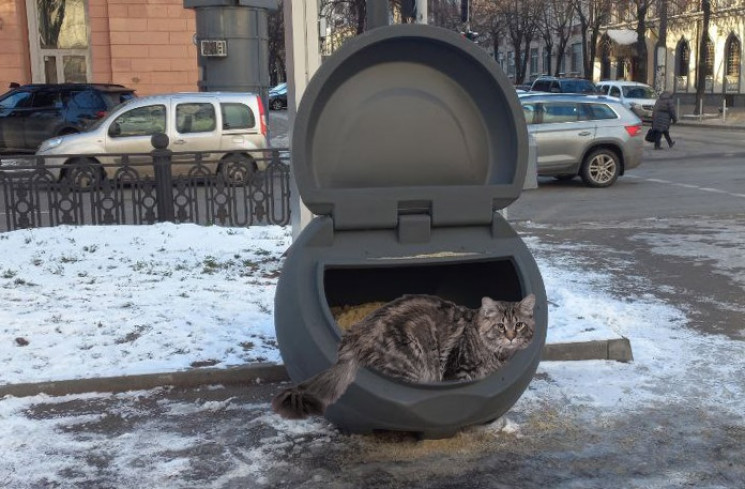 В Днепре установили новенькие "ракушки"…