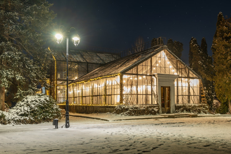 В Киеве на ВДНХ откроется новогодняя зим…