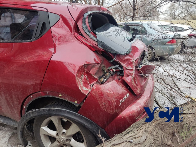 В Одесі дерево впало на припарковану пор…