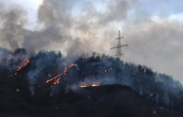 На Свалявщині сталася масштабна пожежа у…