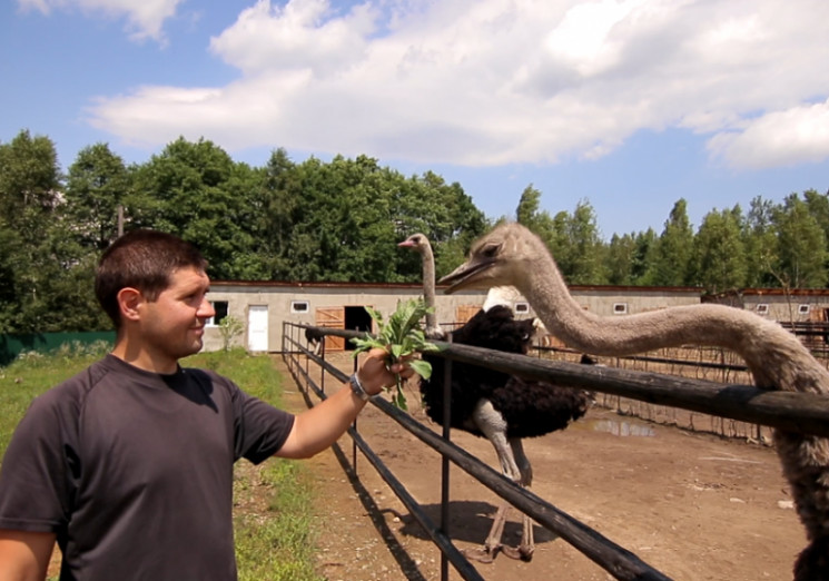 На Прикарпатті АТОвець відкрив страусину…