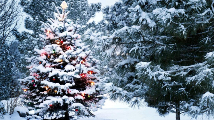 Погода на Різдво: На Прикарпатті прогноз…