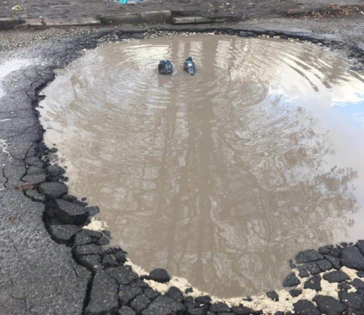 В Киеве возле парка "Орленок" появилось…