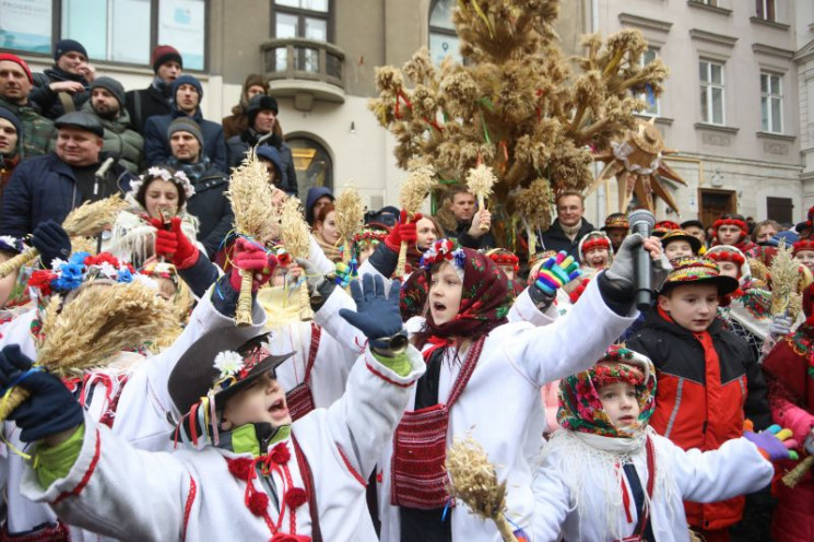 На Львівщині хочуть встановити рекорд із…