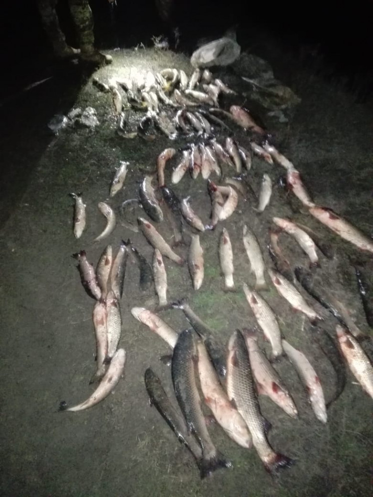 У Запорізькій області браконьєр нарибали…