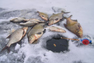Как подо льдом поймать рыбку, - советы с…