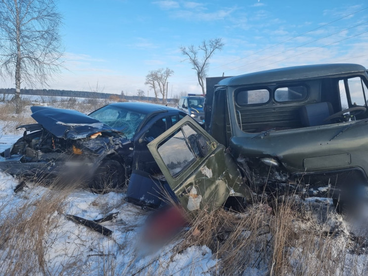 Пассажир УАЗ погиб на месте: В Киевской…