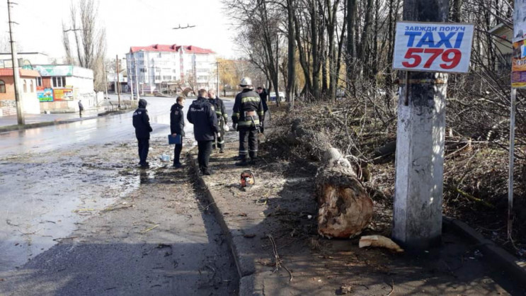 Трагедія у Вінниці: Дерево впало на 11-р…