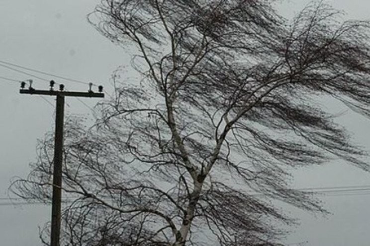 У Вінниці прогнозують сильні пориви вітр…