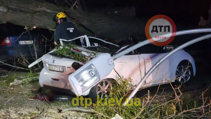 Загинув чоловік: У Києві величезне дерев…
