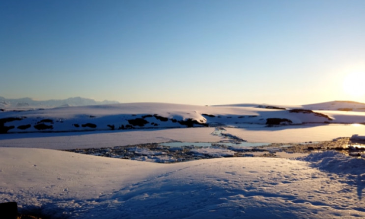 Украинские полярники в Антарктиде зафикс…