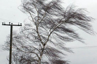 Увага, вітряна погода: 18 січня в Україн…