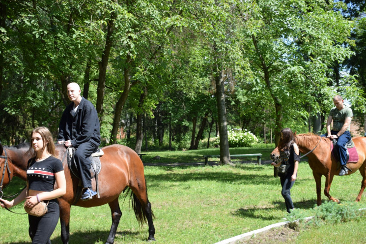 У Старокостянтинівському госпіталі коні…