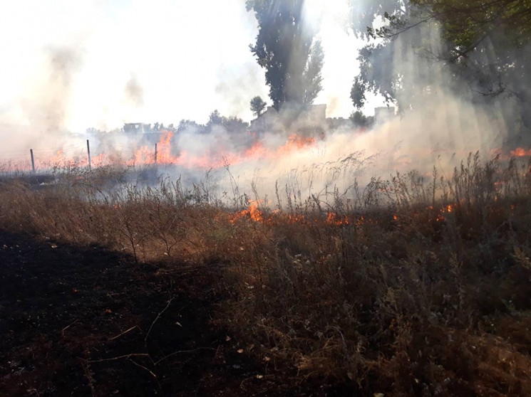 Пожежі не вщухають: На Полтавщині вигорі…
