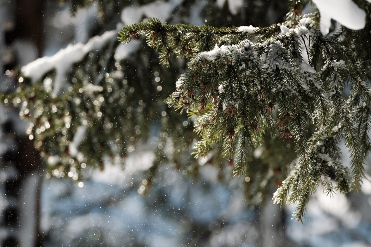Снігопад та ожеледиця: На Запоріжжі прод…
