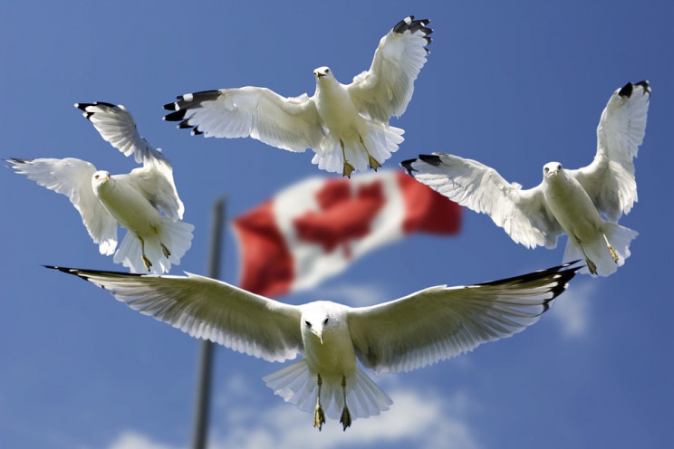 Канада призвала семьи дипломатов покинут…