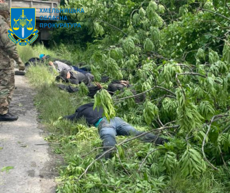 За вирубані дерева на більш як 4 млн грн…